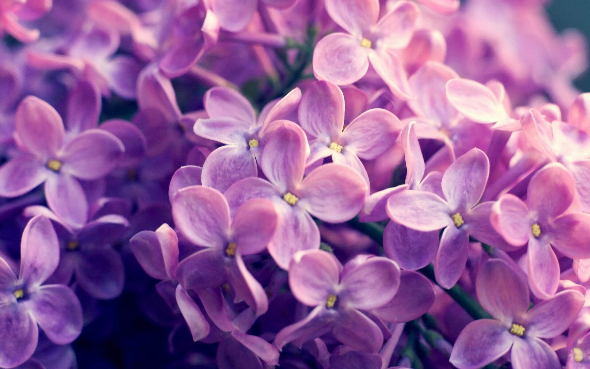 高校篮球引入职业球探参与比赛观察发掘人才,高校篮球训练理念以及训练方法研究