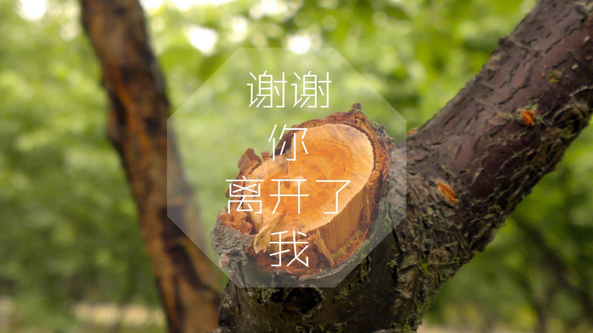 Kaiyun APP-夜光漂移赛，炫彩灯火中的极速漂移，夜光漂怎么制作方法