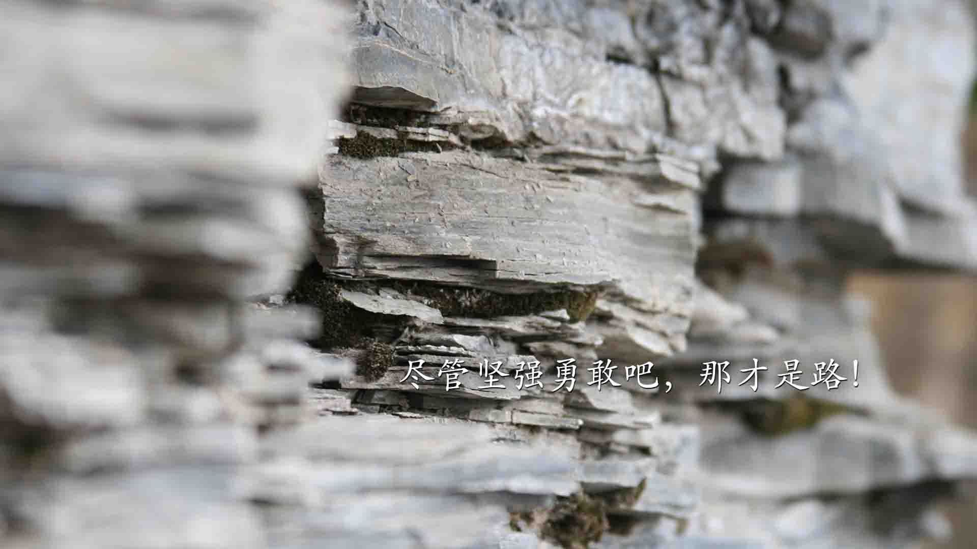 惊艳定胜：王强最后秒钟三分，点燃全场！