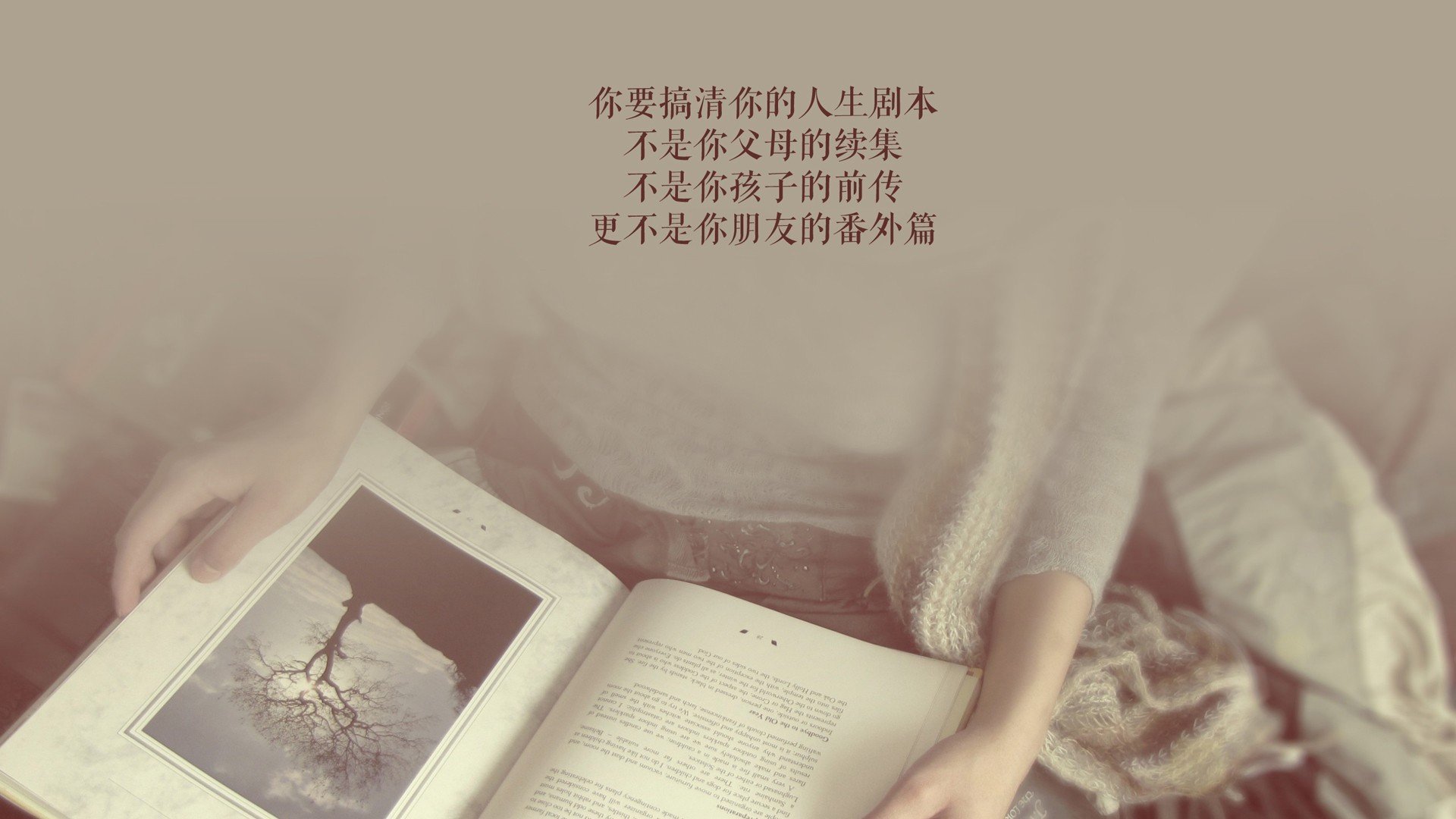 开云体育-森林狼内线球员篮板争夺更积极，森林狼 kg