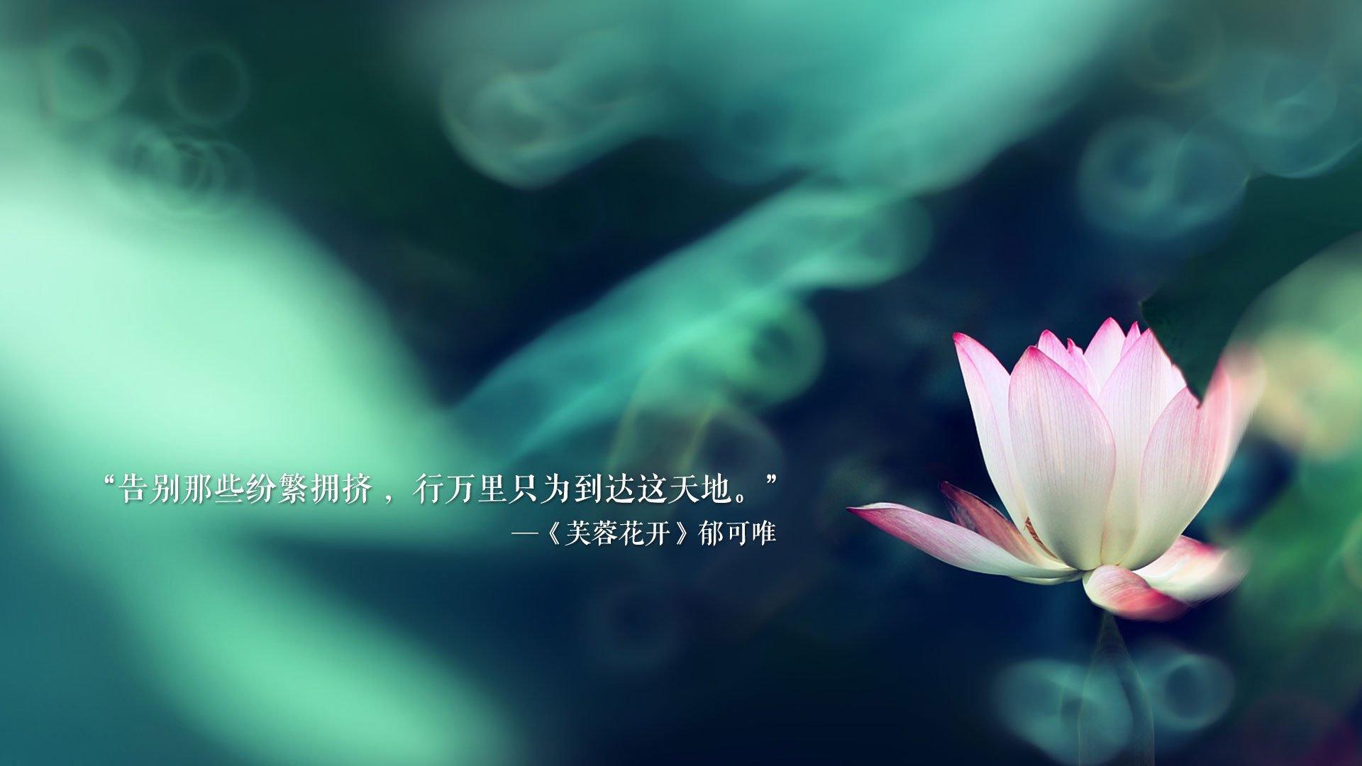 kaiyun开云·官方网站-莱斯特城客场逆转，比赛精彩异常，莱斯特城主场在哪个城市