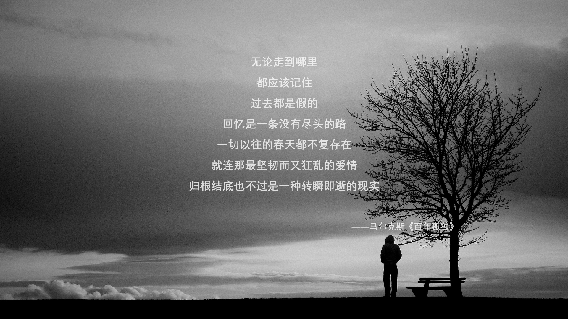 荷兰队在国际比赛中表现神勇，一路高歌，荷兰队视频