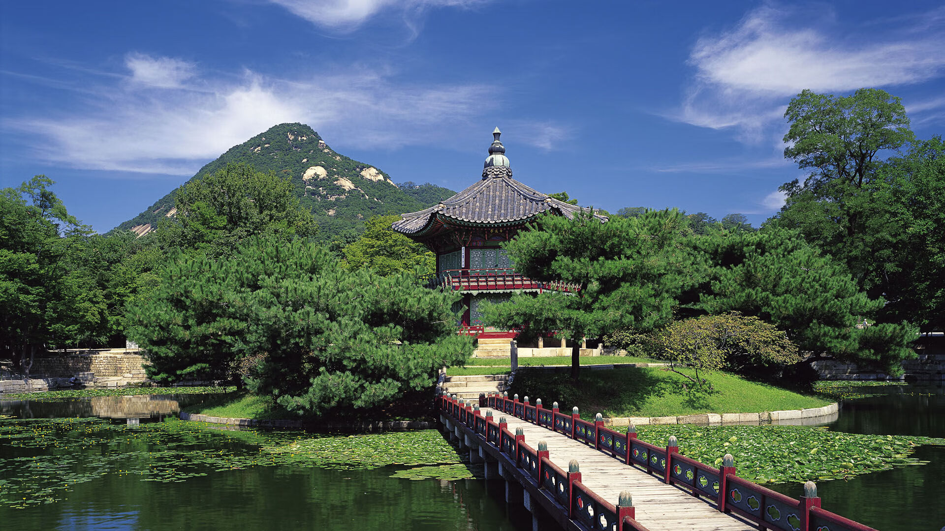 全国青少年快闪篮球赛掀起运动新潮流，2020全国青少年篮球锦标赛