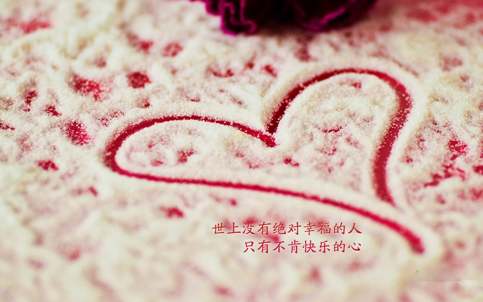kaiyun体育app-“高新区全民健身馆：短柄墙球选手智慧与体力的双重决斗，见证全新竞技风采”