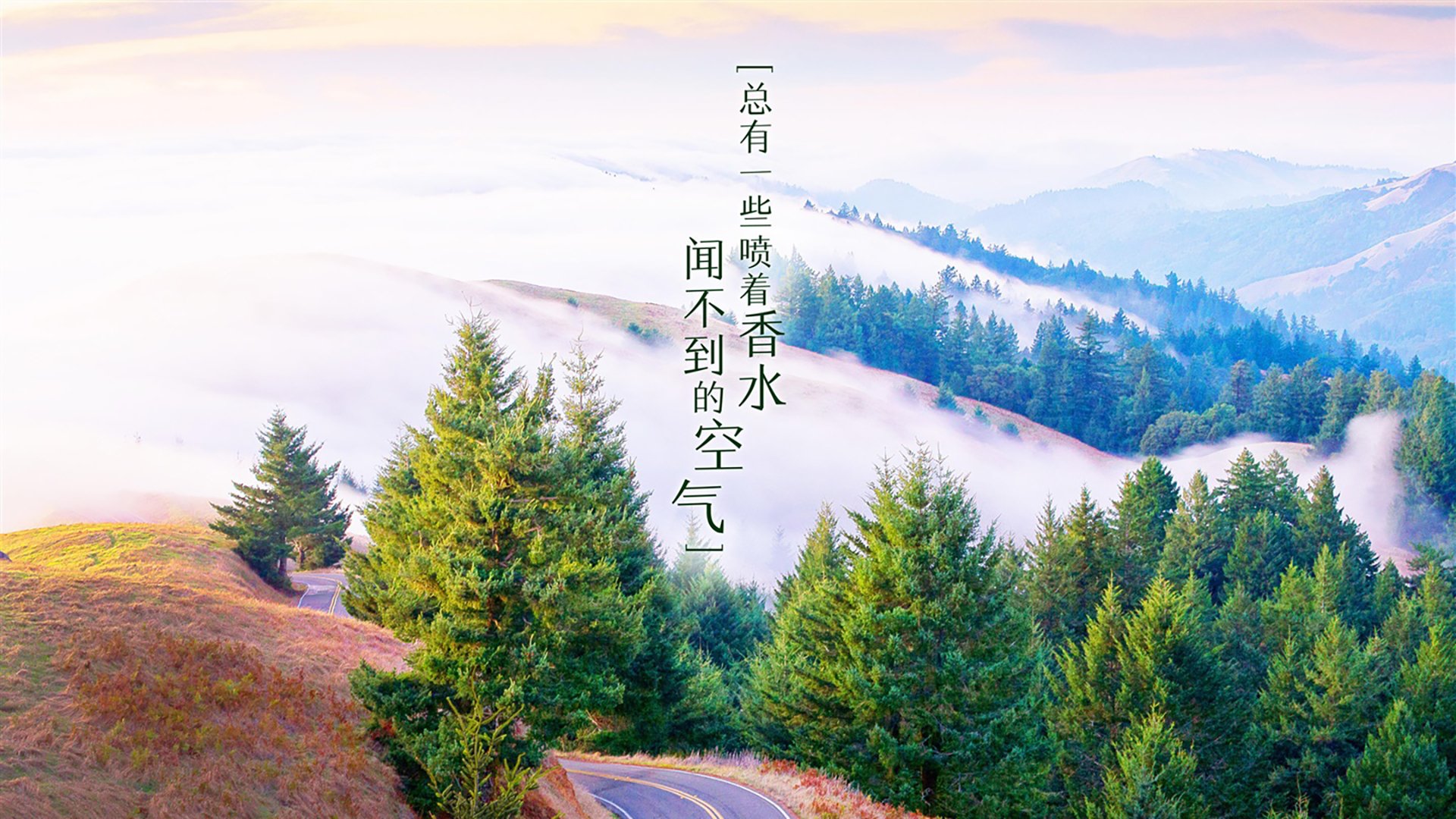 KAIYUN 中国大陆-球员节奏变化是否取决于惯用战术风格，nba节奏感强的球员